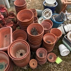植木鉢　沢山の画像