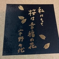 丸盆 桜の画像