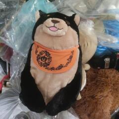 忠犬もちしば ぬいぐるみ ハロウィン