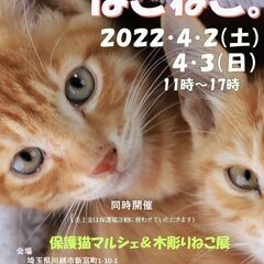 4/2・4/3　写真展「ほごねこ。」（入場無料）