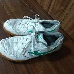 mizuno 室内用シューズ