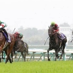 競馬グループ🏇メンバー募集