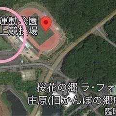 庄原　さくらフェスティバル - 庄原市