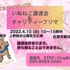 庄原　さくらフェスティバル