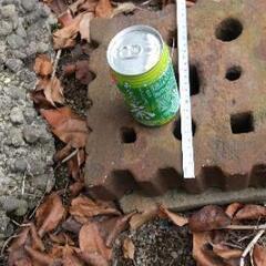 金床     蜂の巣 ×２  です。の画像