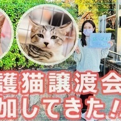 動画編集できる方を探しております。
