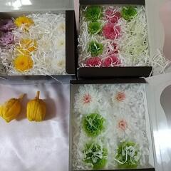 プリザーブドフラワーの菊
