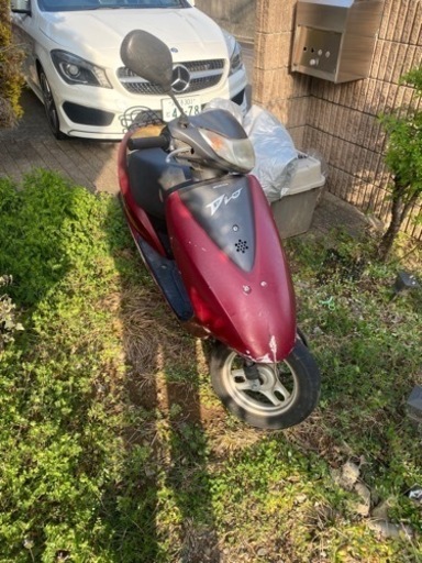 AF62 Dio 実動車！