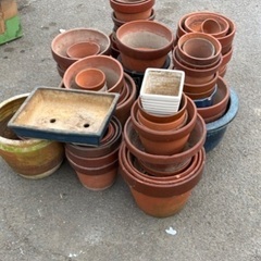 植木鉢多数。の画像