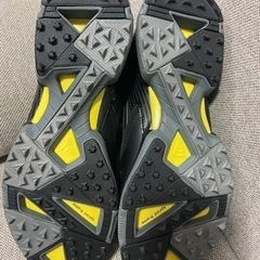 adidas アディゼロ　25.0㎝【決まりました】の画像