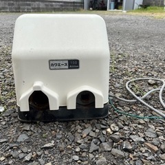 カワエース150の画像