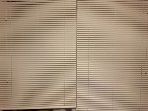 ブラインド ホワイト