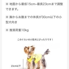 🐶サムソン・サロン✨　ワンちゃんの爪切りやトリミングに♪の画像