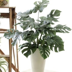 新品　フェイクグリーン　観葉植物　光触媒　モンステラ