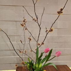 『好評！！』生け花教室(お花と場所代のみ😊)