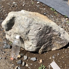 持ってけ泥棒！庭石差し上げます。