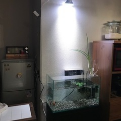 60cm水槽と水槽台、各種飼育セット