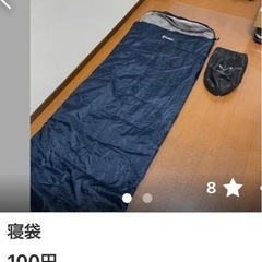 寝袋【お取引中】の画像