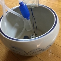 お魚飼育セット
