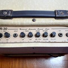 アンプ(Guyatone AR-30 EDM)の画像