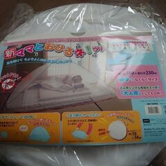 お昼寝ネットの画像