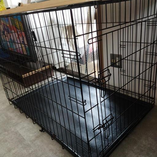 本日予約受付　中型〜大型犬　ゲージ　サビあり