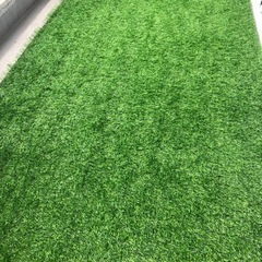 ご予約品 人工芝 1m×2m