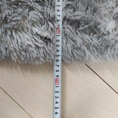 [あげます]イケア IKEA LANGSTED ラングステド
ラグの画像