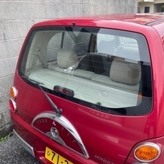 ミニカタウンビー（取り引き中）の画像