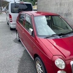 ミニカタウンビー（取り引き中）