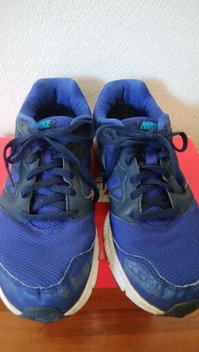 ナイキ　NIKE　25.5㎝　青　ブルー系