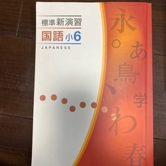 標準　新演習　国語　小6