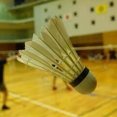【11/20(日)】バドミントン🏸《初心者～経験者まで参加者募集中》