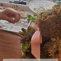 アニマルモス多肉植物レッスン💗