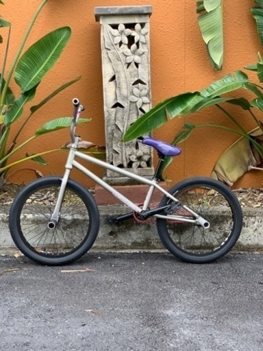 BMX フラット HKS A-DAMN(adam kun signature)