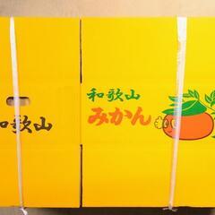 みかん箱/ダンボール　1個100円
