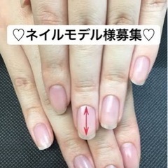 都内　謝礼あり　ネイリスト検定2級のモデル　急募！
