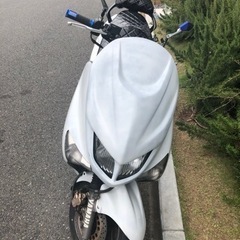 【現行車　そのまま乗れます　自賠2年　税金納付済　配送可　特別値...