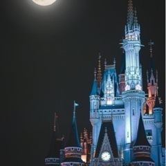 ディズニー仲間募集