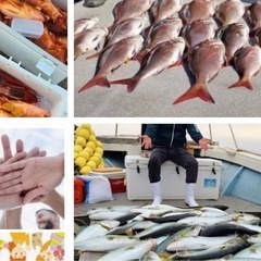 釣り好きの方　船釣りの楽しみ方アイデア募集の画像