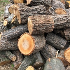 薪　クヌギ 20kg(キャンプ焚き火台用)(未乾燥)