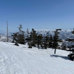 4/1 かぐら🏂滑りませんか？(現地集合)