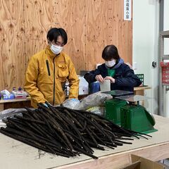 <アルバイト/パート>野菜の袋詰めスタッフ募集　の画像