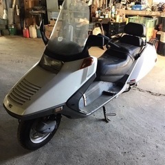 ホンダフュージョン250決まりました。