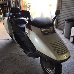 ホンダフュージョン250決まりました。の画像