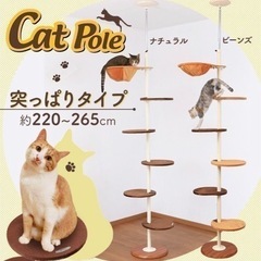 美品、ボンビアルコン、キャットポール