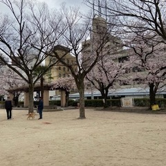一緒にキャッチボールしましょう😊‼️ − 広島県