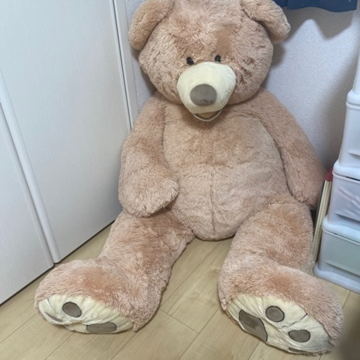 コストコ　クマ