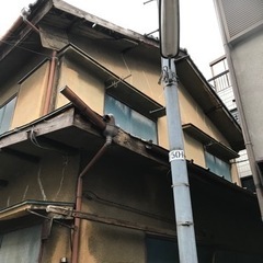 大きくなりすぎた庭木の伐採 - 中野区