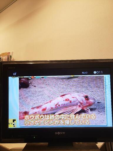 SONY ソニー BRAVIA KDL-19J5 19インチ液晶テレビ 2009年製　\n\n